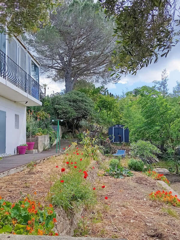 maison tanneron avec terrain en restanque - photo 2