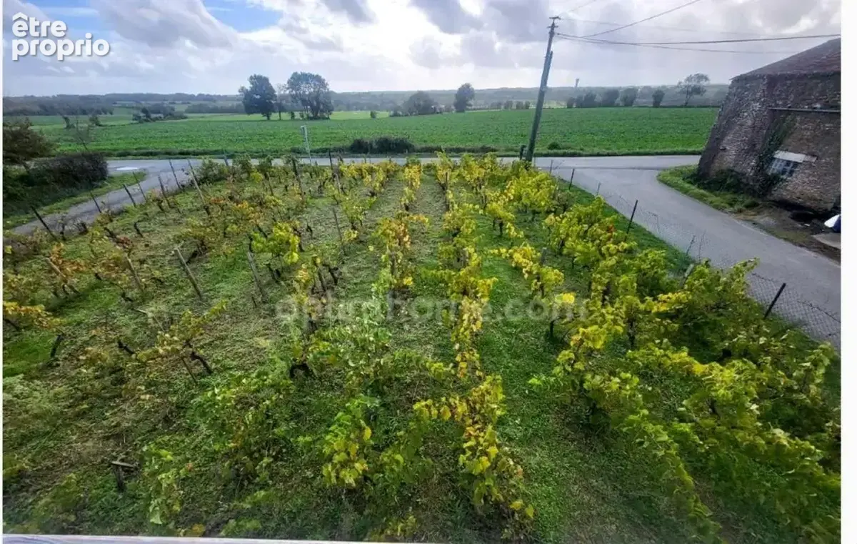 Maison rénovée avec 3 chambres, 1 200 m² de terrain et vue dégagée – Au calme ! - photo 10