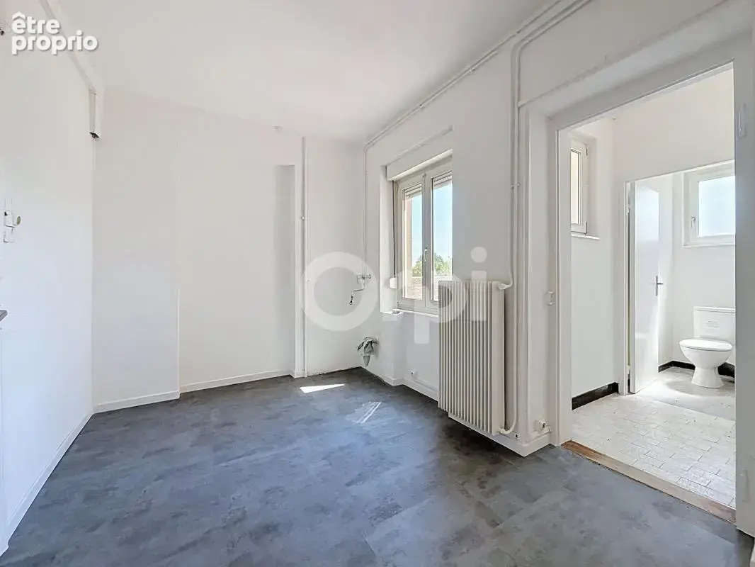 Colmar – immeuble 3 appartements – jardin, garage et dépendances - photo 2
