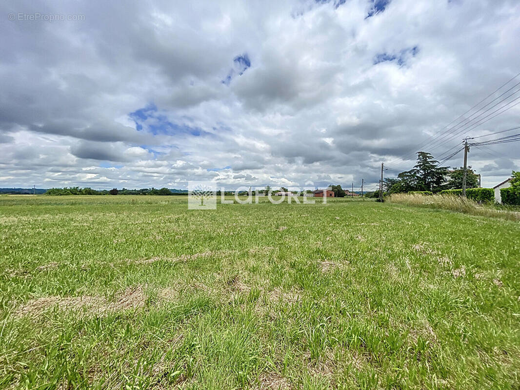 Terrain à VILLEMUR-SUR-TARN