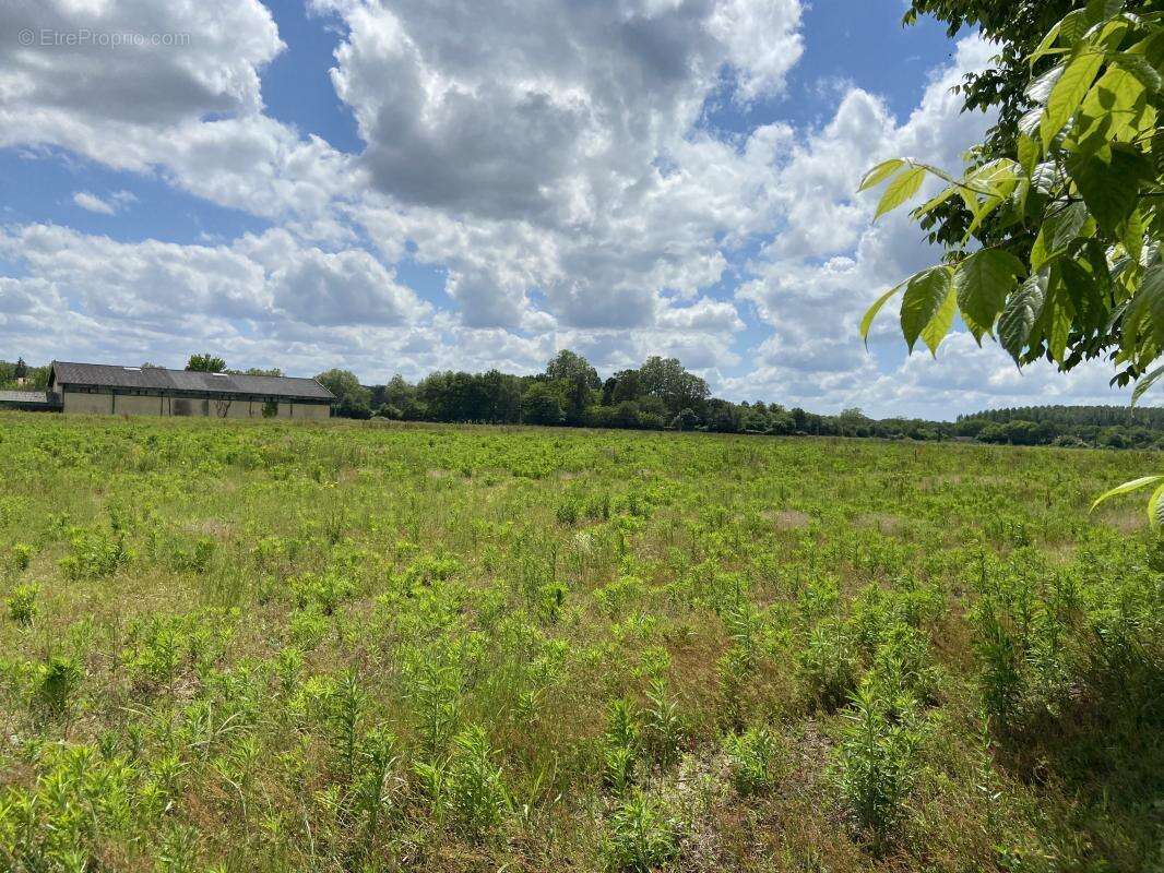 Terrain à SAUGNAC-ET-CAMBRAN