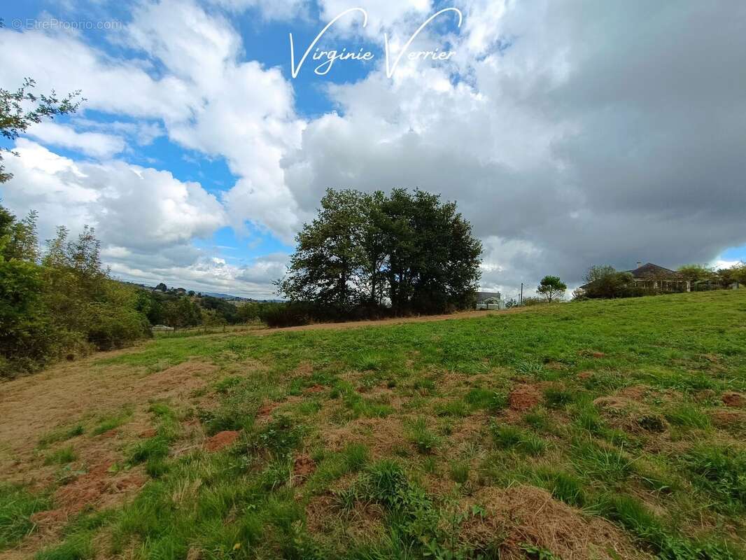 Terrain à SAINT-CYPRIEN