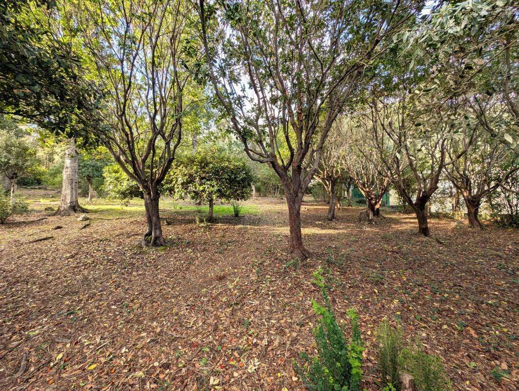 Maison à SANTA-MARIA-POGGIO