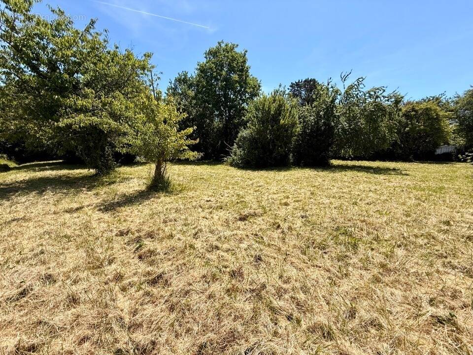 Terrain à BERGERAC