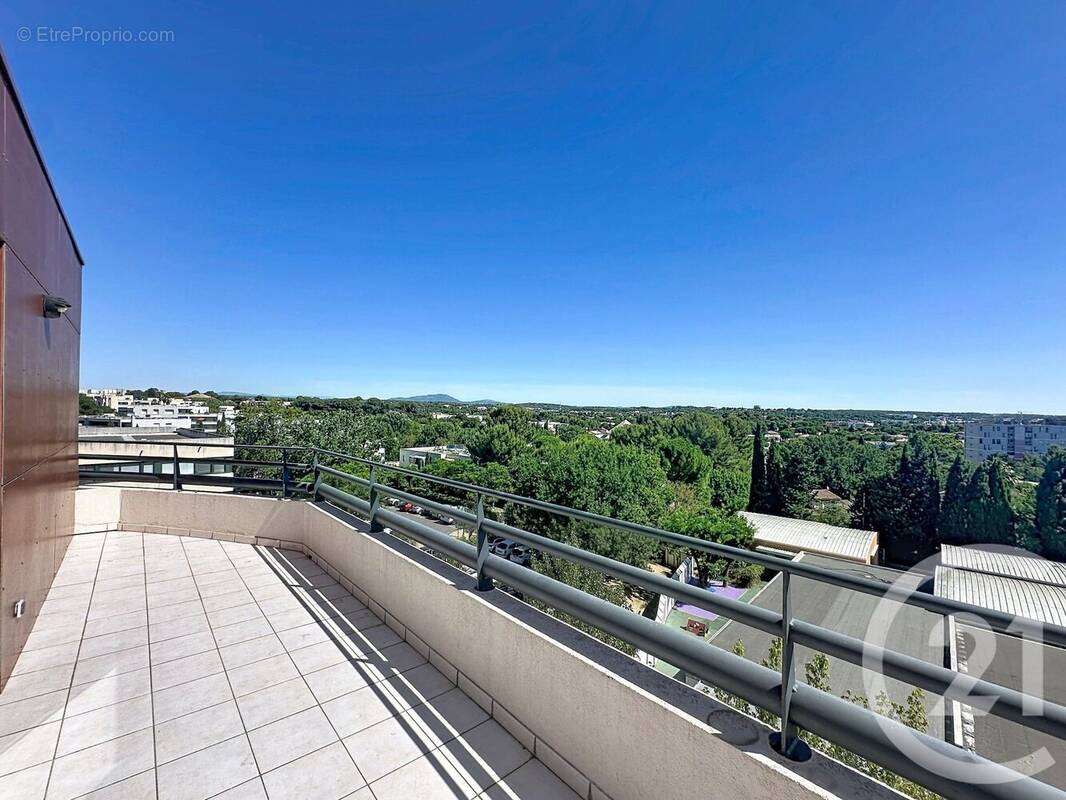 Photo 1 - Appartement à MONTPELLIER
