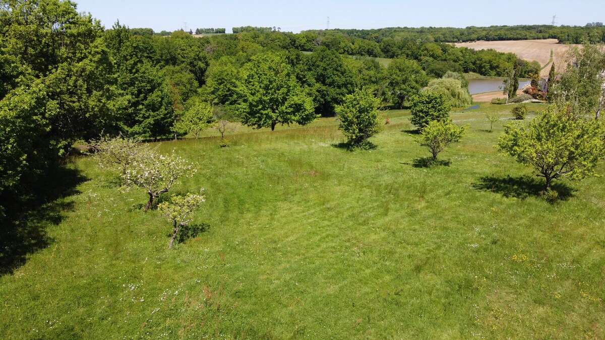 Terrain à SAINT-AVIT