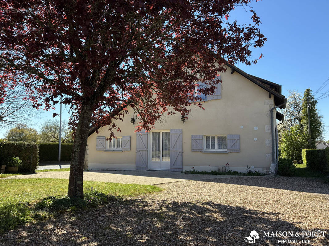 Maison à OUZOUER-SUR-TREZEE