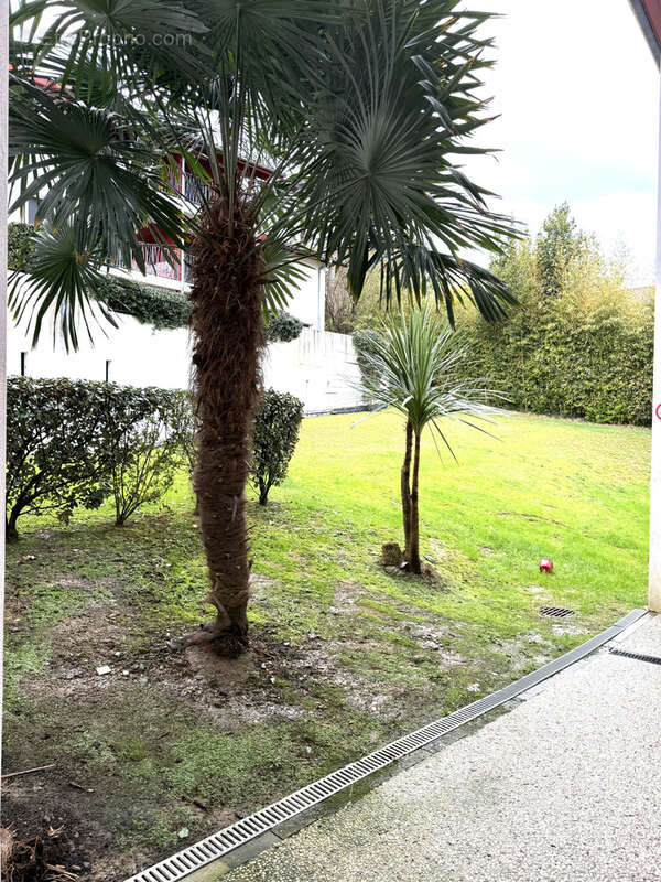 Appartement à HENDAYE