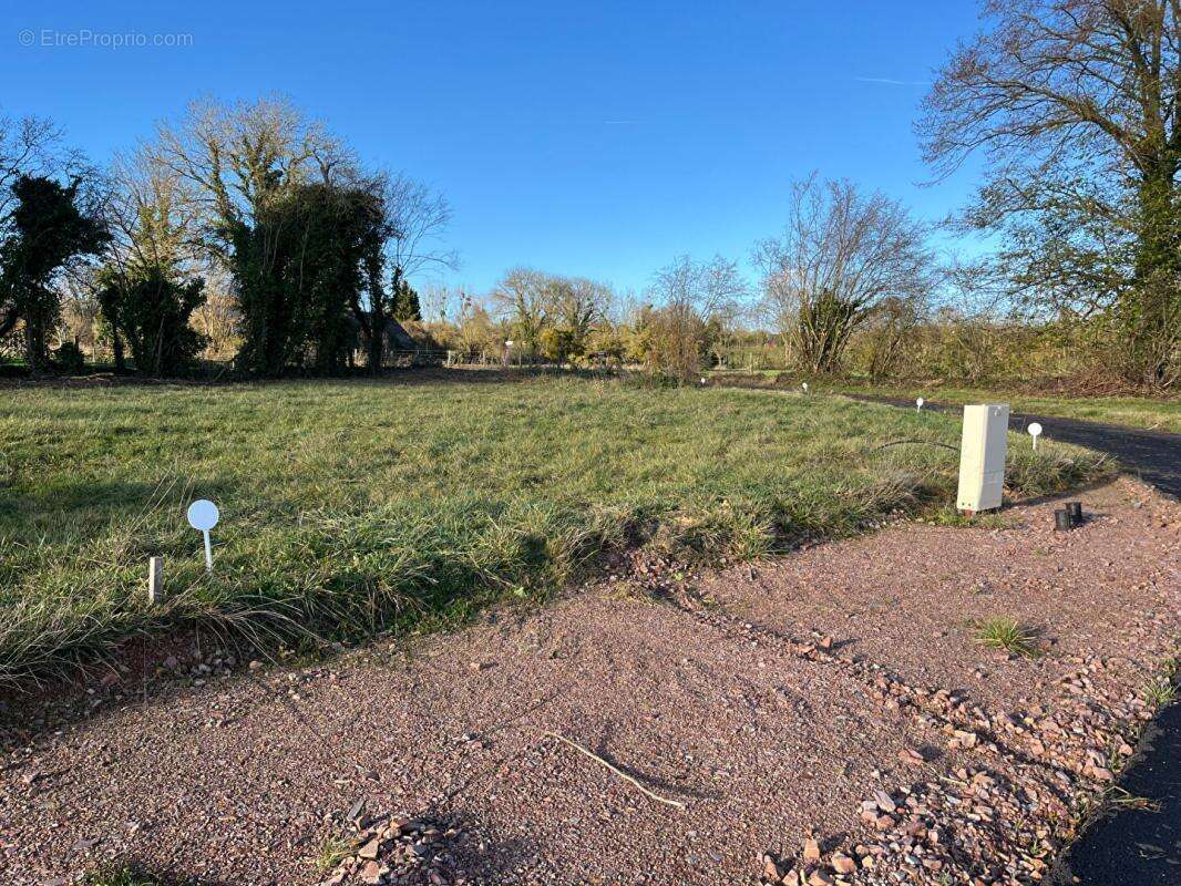 Noron l'abbaye terrain de 781 m² - photo 4