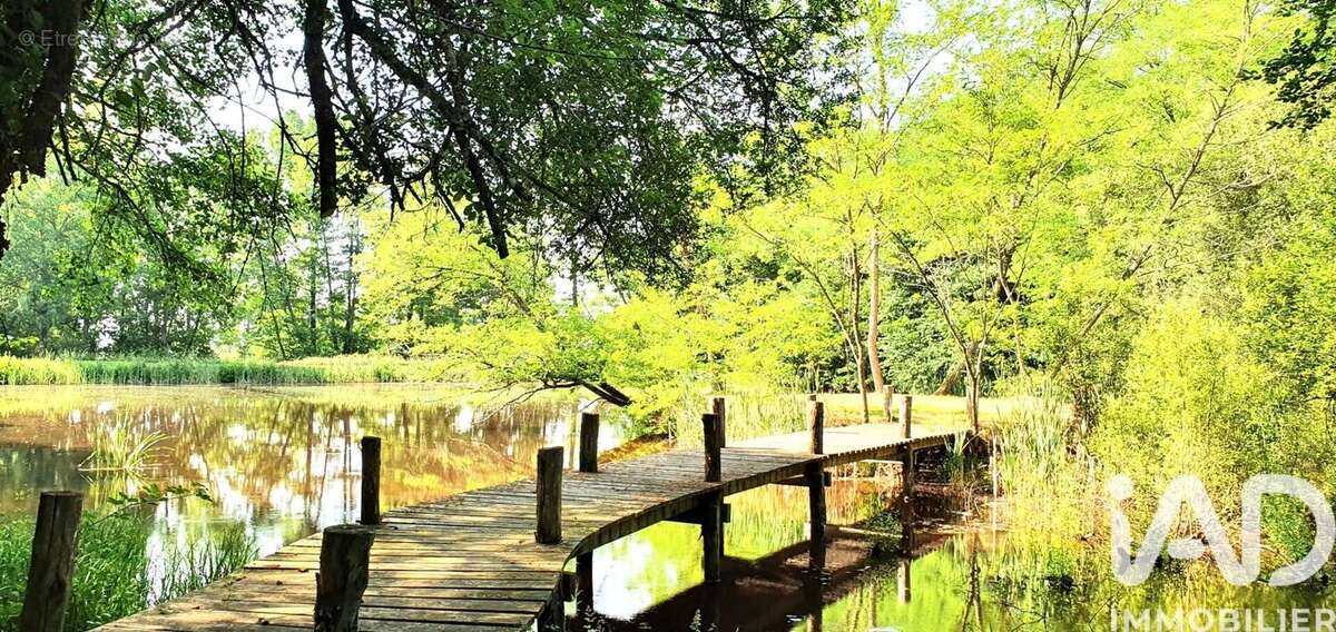 Photo 2 - Terrain à BRIVE-LA-GAILLARDE