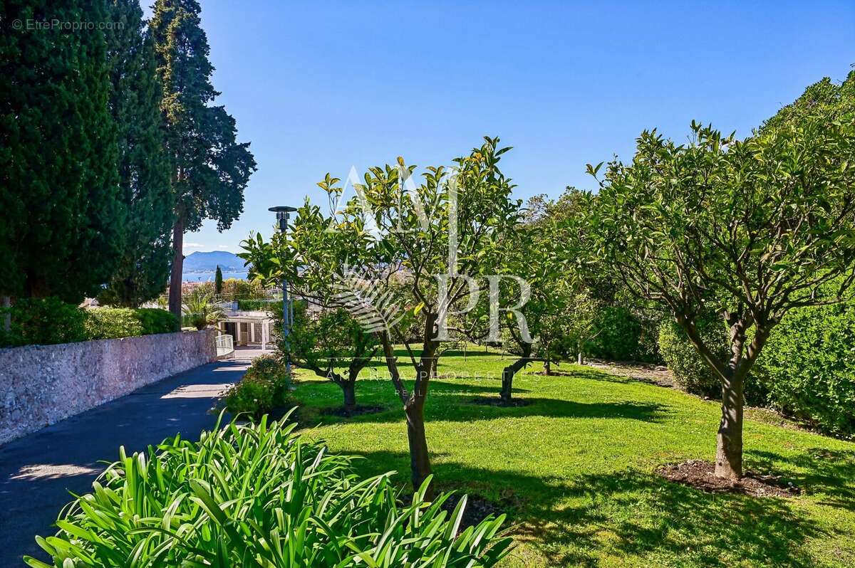 Cannes Basse Californie - Appartement 3 pièces - Vue mer - photo 12