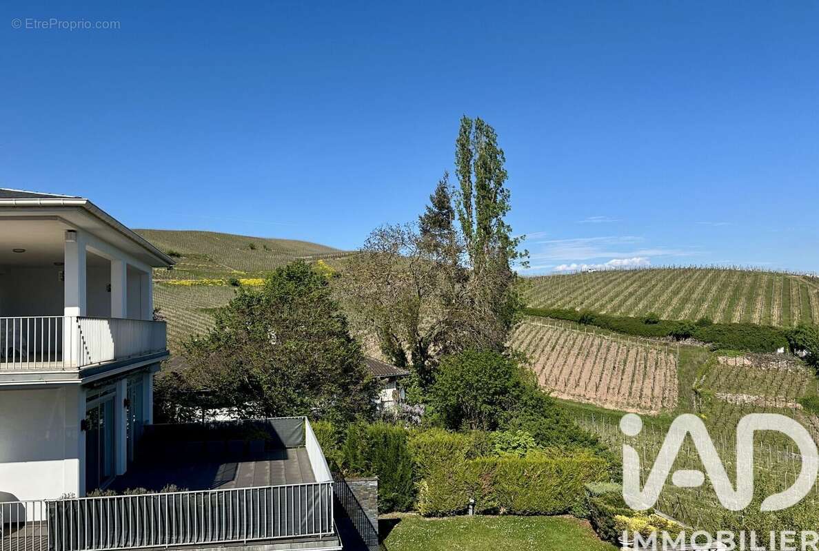 Photo 3 - Maison à TURCKHEIM
