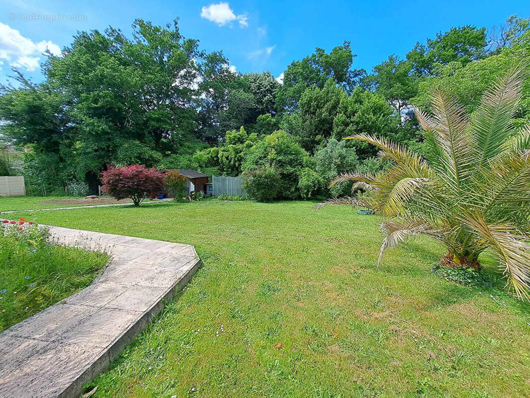 Maison à VILLENEUVE-DE-MARSAN