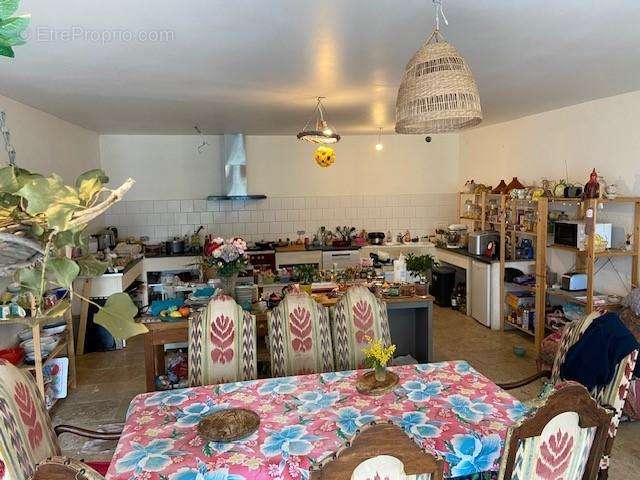 Terrain à SAINT-REMY-DE-PROVENCE