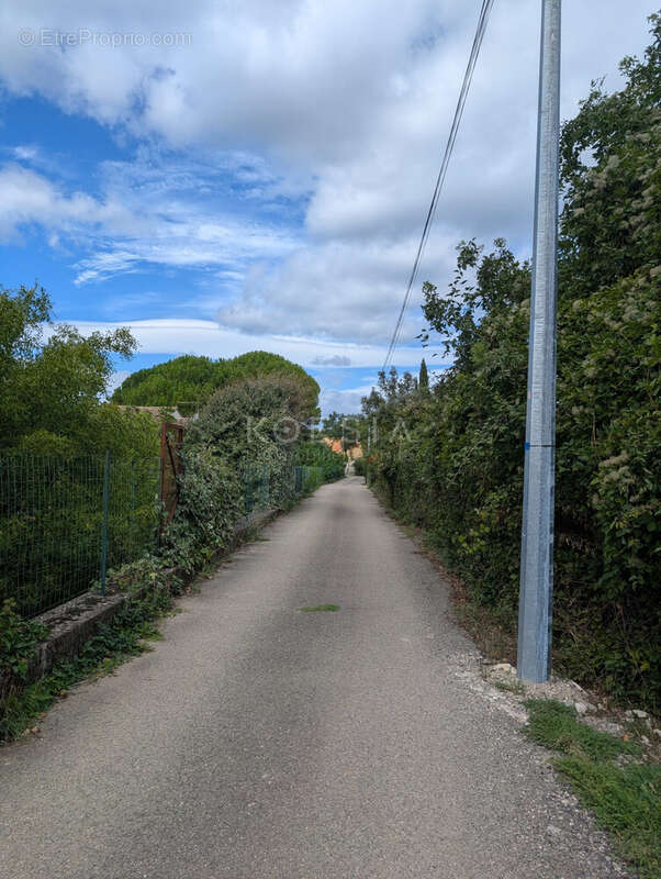 Terrain à SAUVE