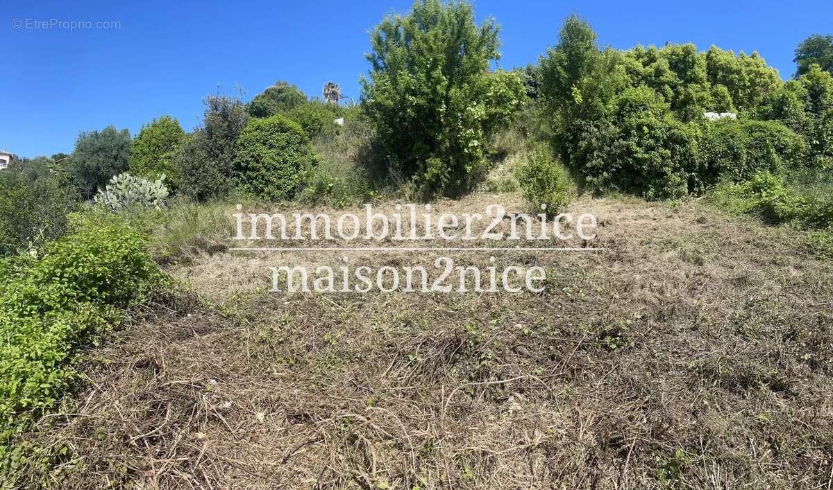 Terrain à NICE