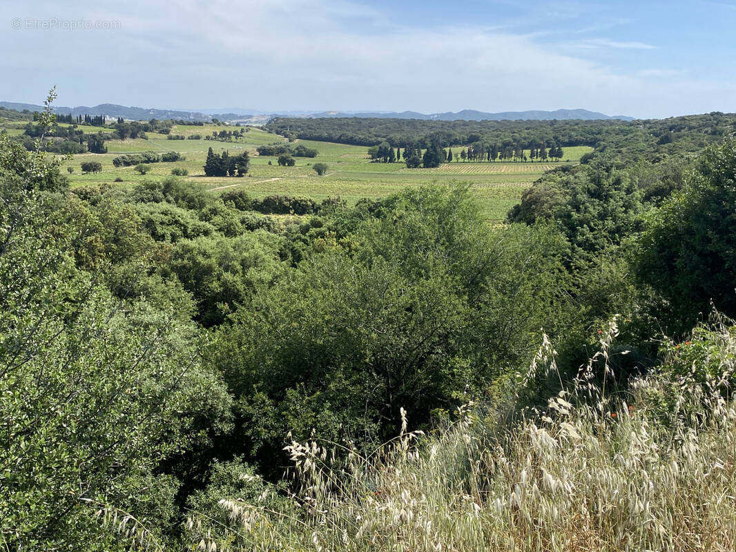 Autre à TAVEL