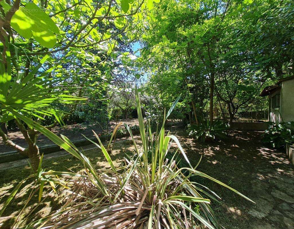 Alès - Maison Bourgeoise 10 pièces 330 m2 sur 1500m² de terrain clos - photo 16