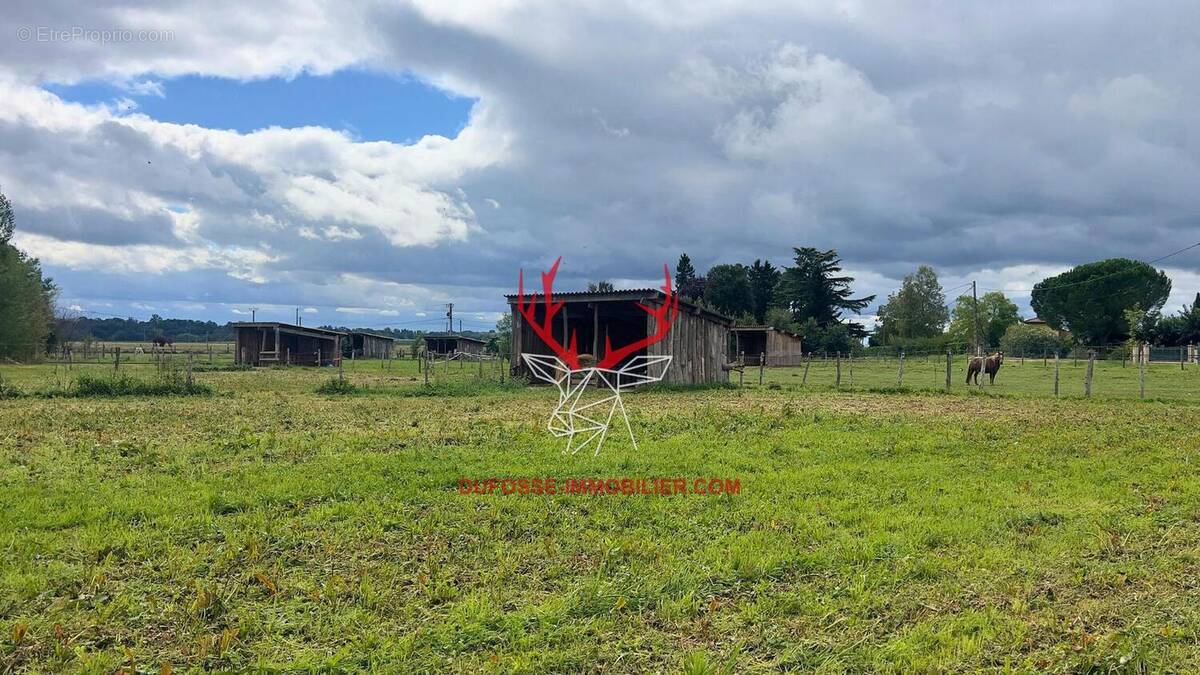 Photo 1 - Maison à GAILLAC