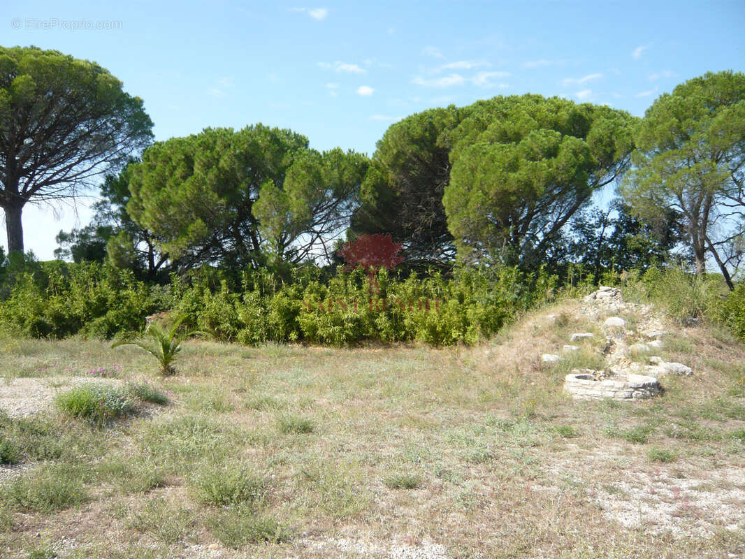Gignac vente villa d archtitecte - photo 12