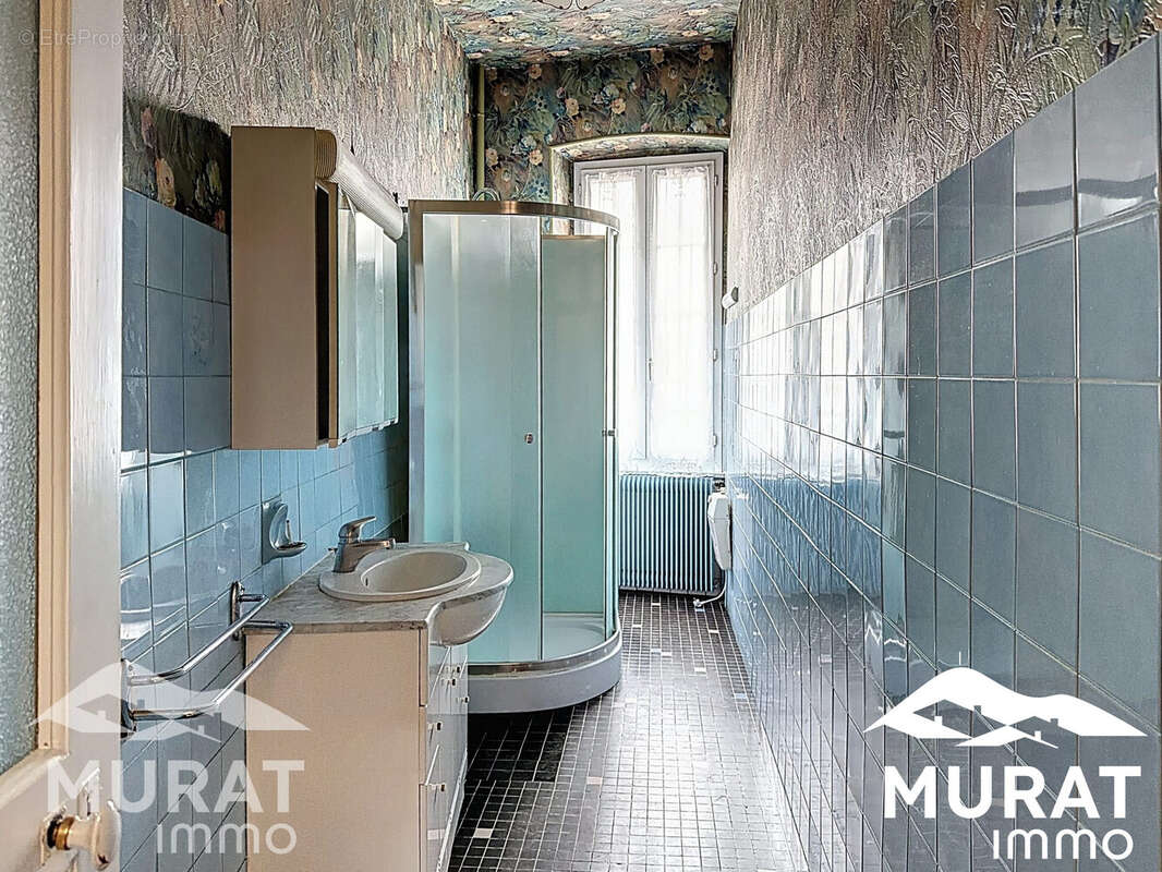 Maison à SAINT-AMANT-TALLENDE