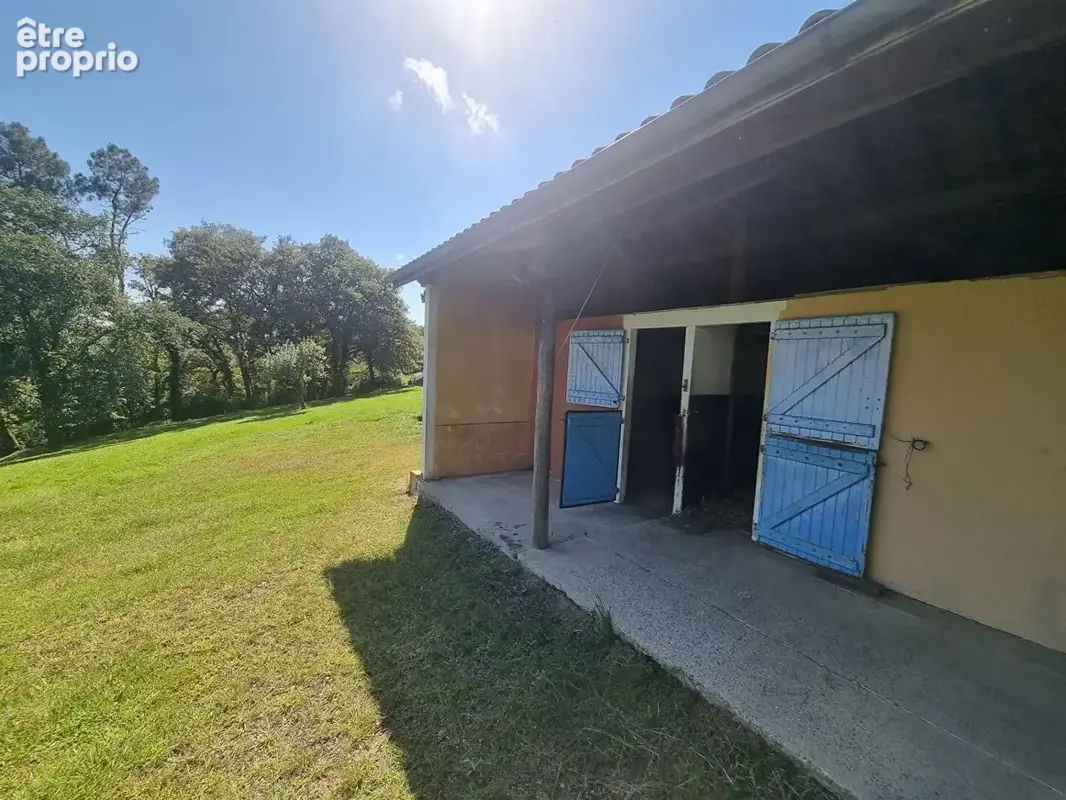 Maison de campagne secteur Maubourguet 5 chambres, terrain 1ha17 - photo 18