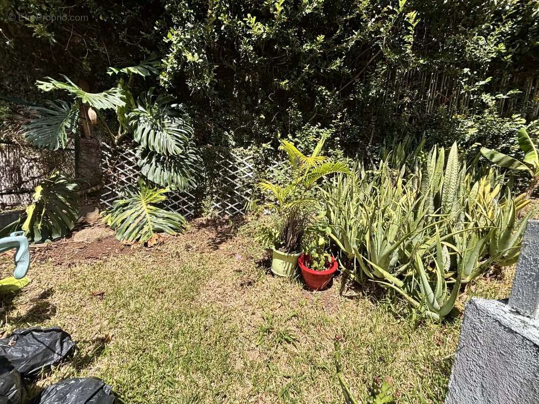 Appartement à SAINT-DENIS