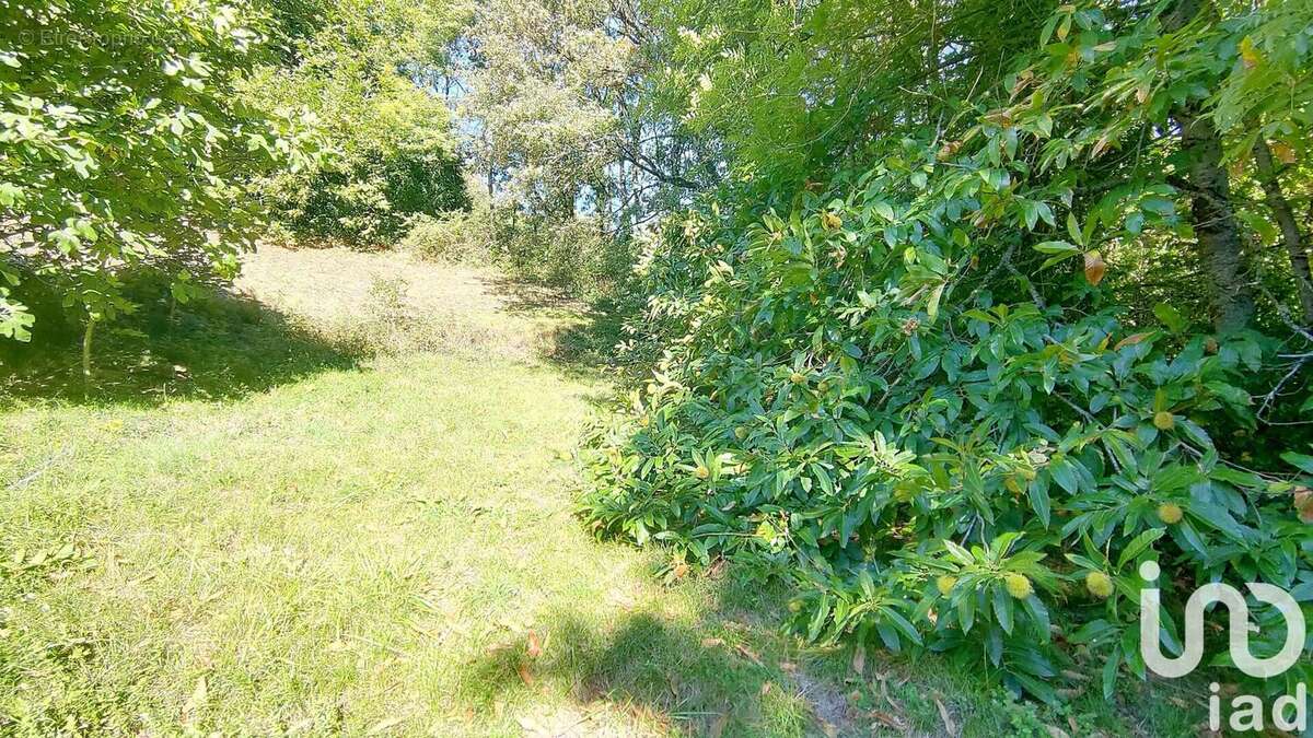 Photo 2 - Parking à LABASTIDE-ROUAIROUX