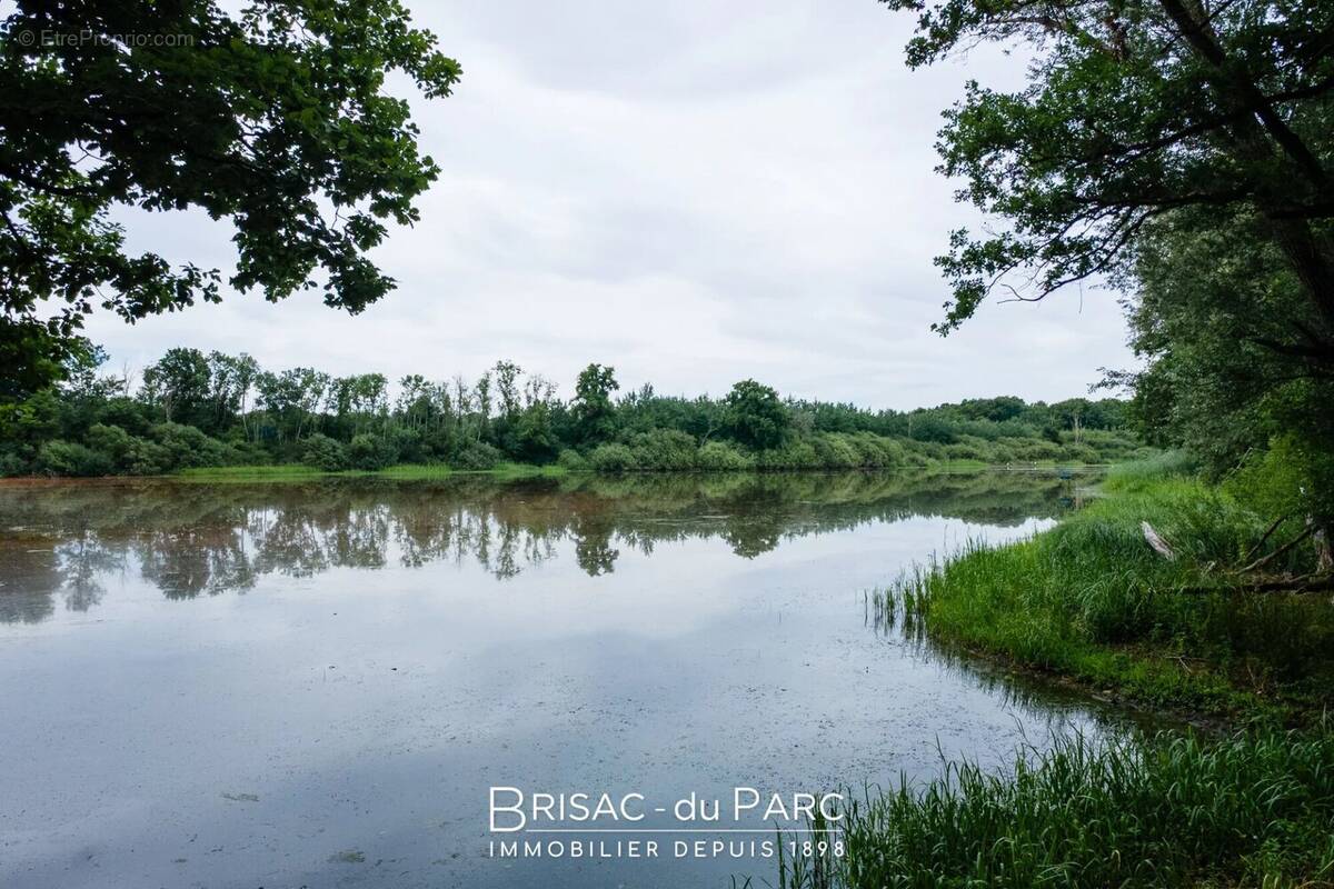Terrain à SAINT-LEGER-TRIEY