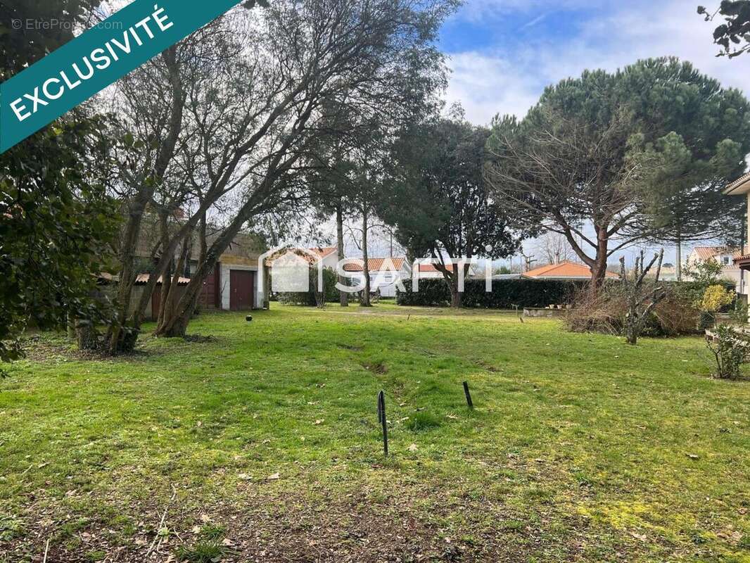 Photo 4 - Terrain à SAINT-MEDARD-EN-JALLES