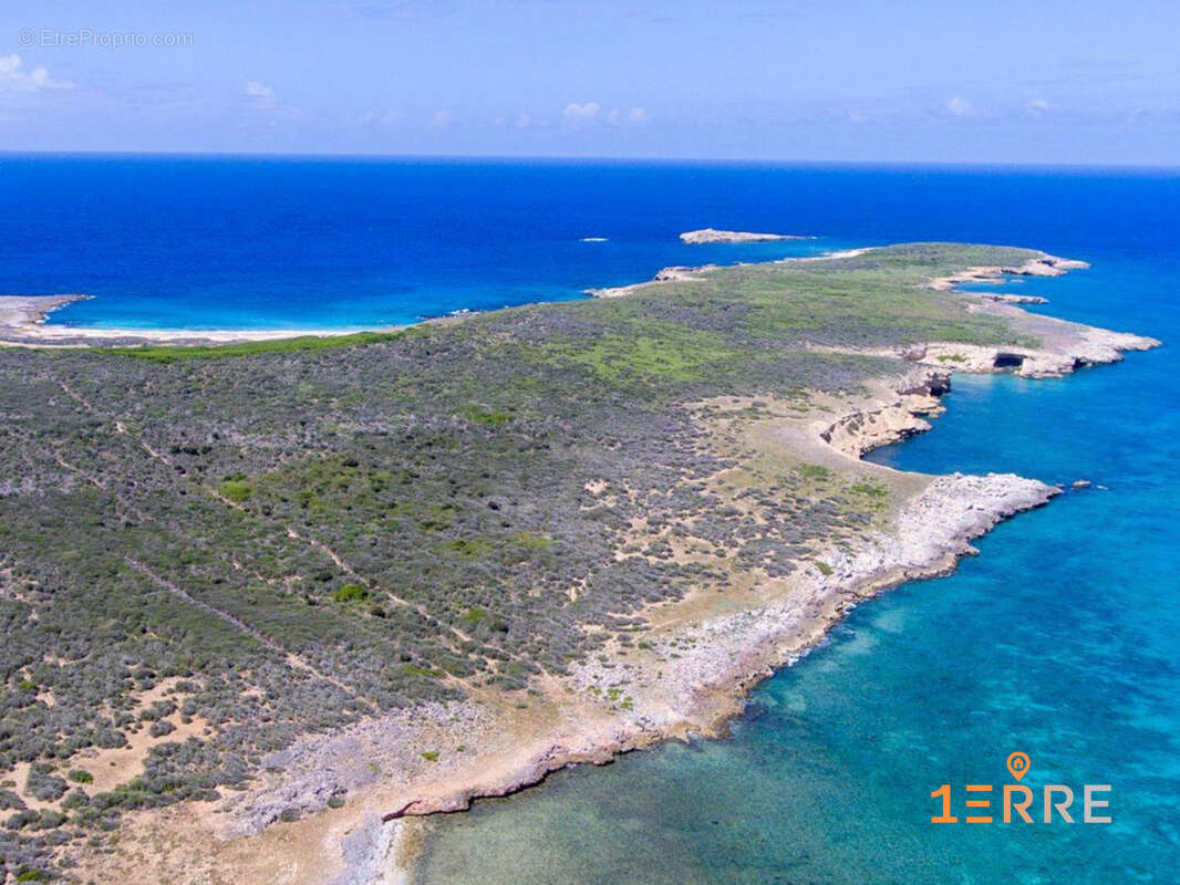 Terrain à SAINT-MARTIN