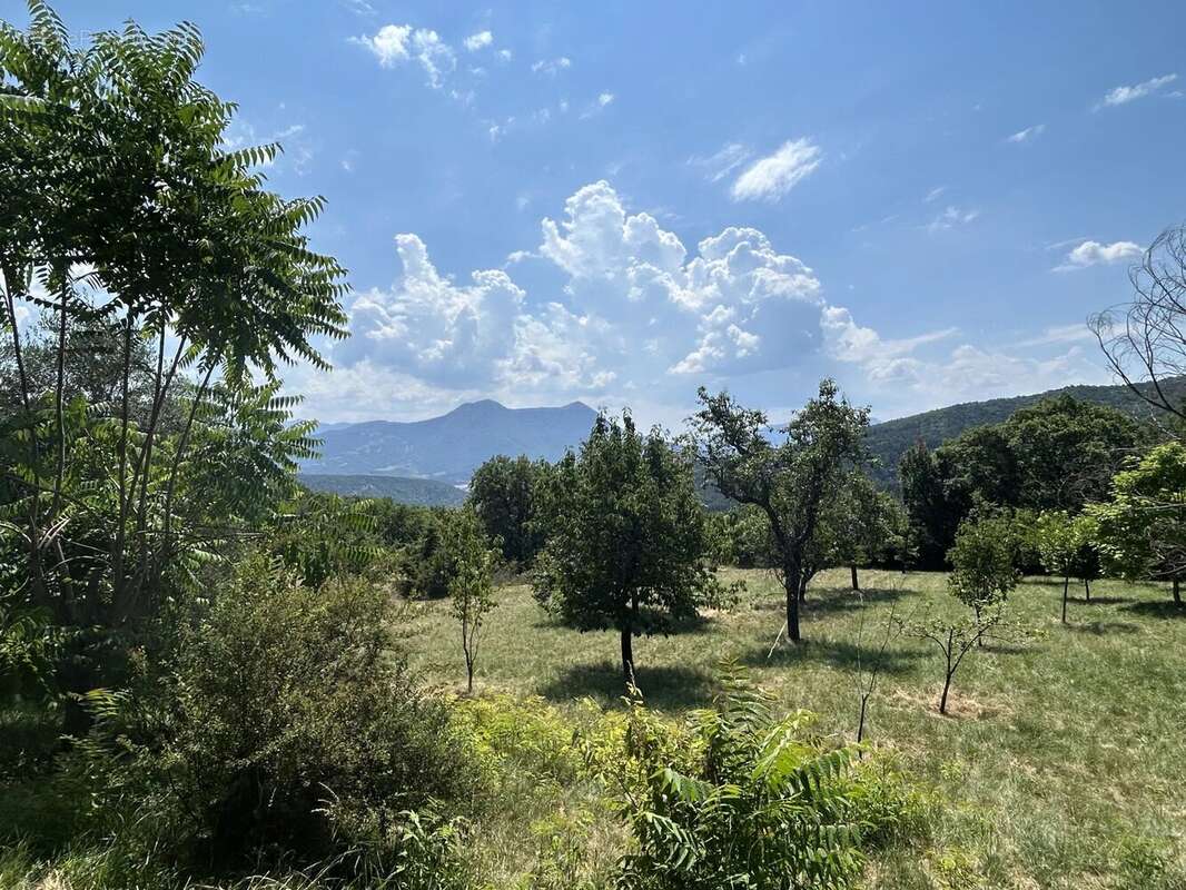 EXCLUSIVITÉ Maison en pierre 335m2 avec 1ha - 04 Alpes-de-Haute-Provence - photo 41