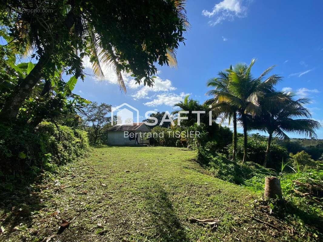 Photo 3 - Terrain à LE LORRAIN