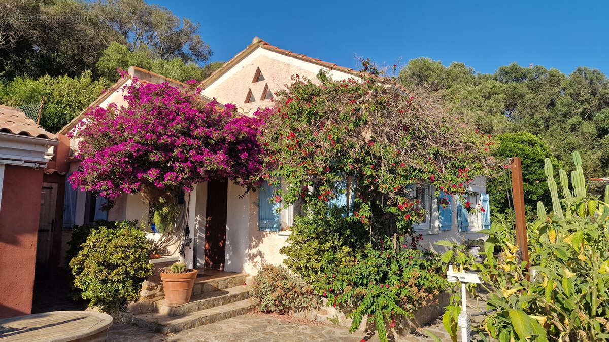Maison à HYERES