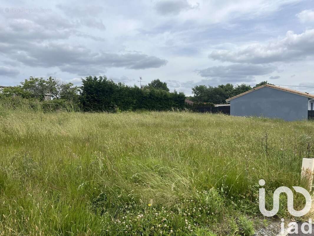 Photo 2 - Terrain à BELIN-BELIET