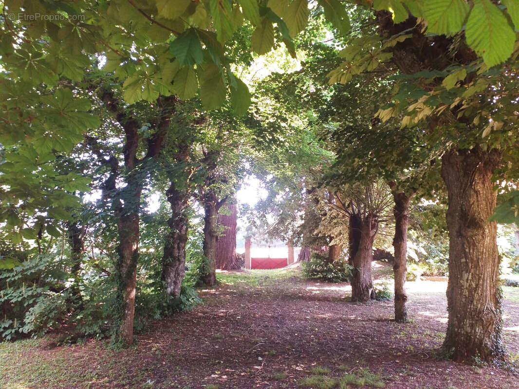 Maison à BONNY-SUR-LOIRE