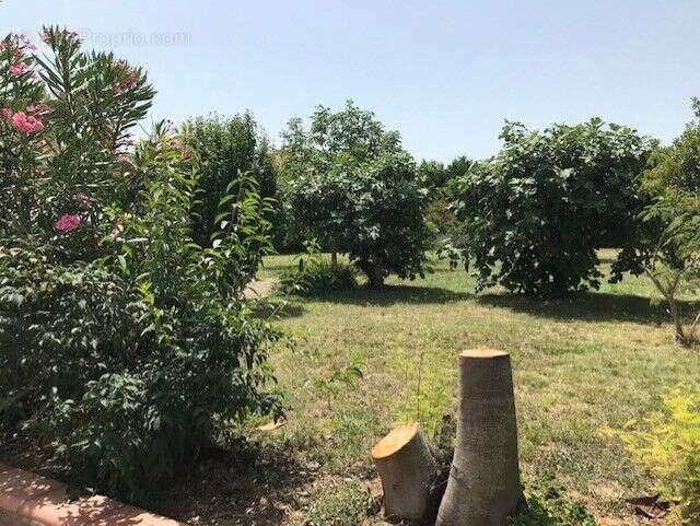 Appartement à AUSSONNE