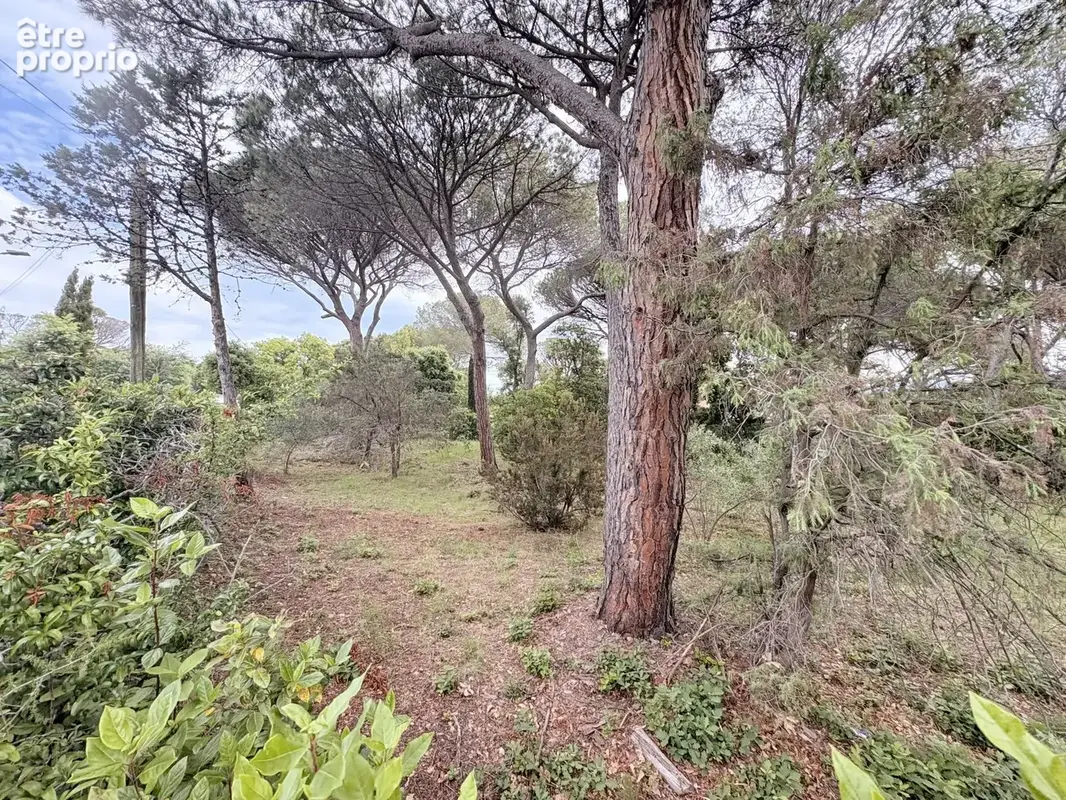Terrain 1 320 m² à vendre à Saint-Raphael (83700) - photo 2