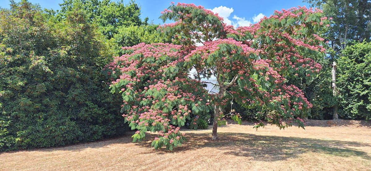 Fouesnant, Jolie maison de 4 chambres, sur un beau terrain arboré de 2000 m² ! - photo 14