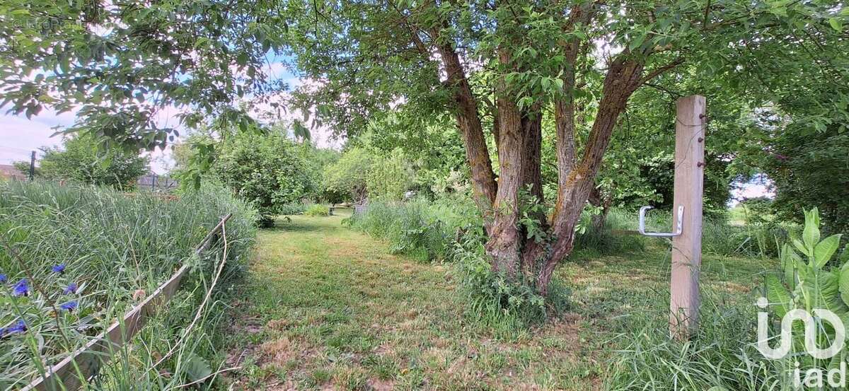 Photo 9 - Maison à CAILLOUET-ORGEVILLE