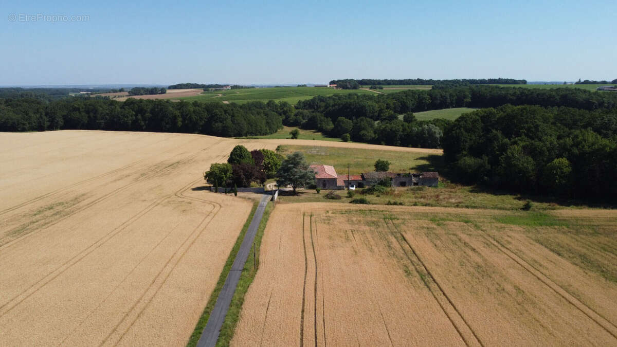 Ancienne ferme de caractère, entièrement rénovée, au coeur de 1,5 hectare de nature préservée - photo 2