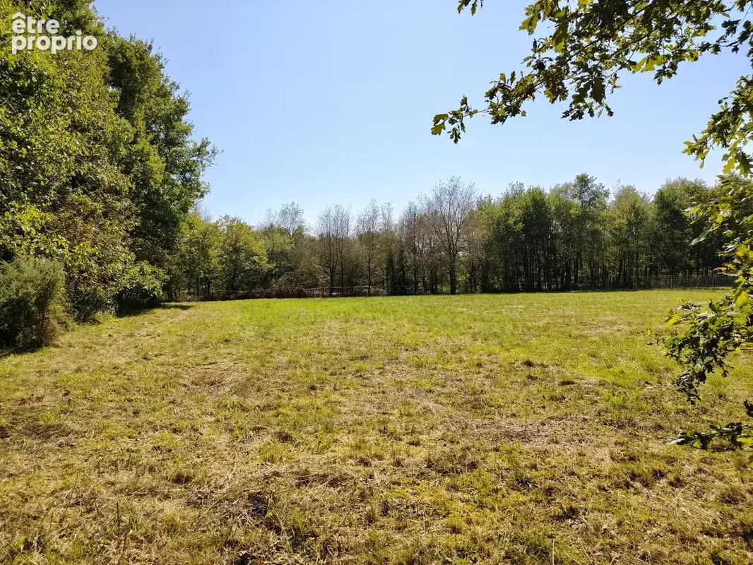 Terrain constructible avec chemin vers parcelle de bois - photo 2