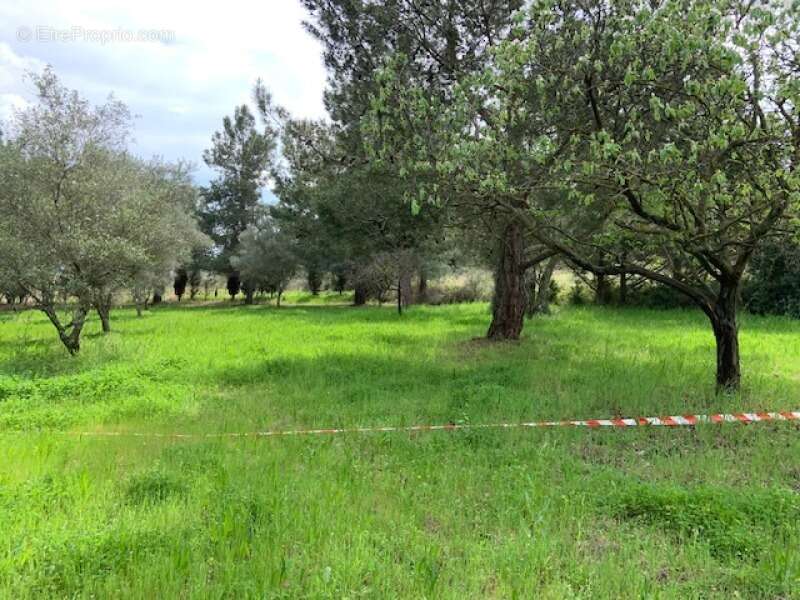 Terrain à LEZIGNAN-LA-CEBE