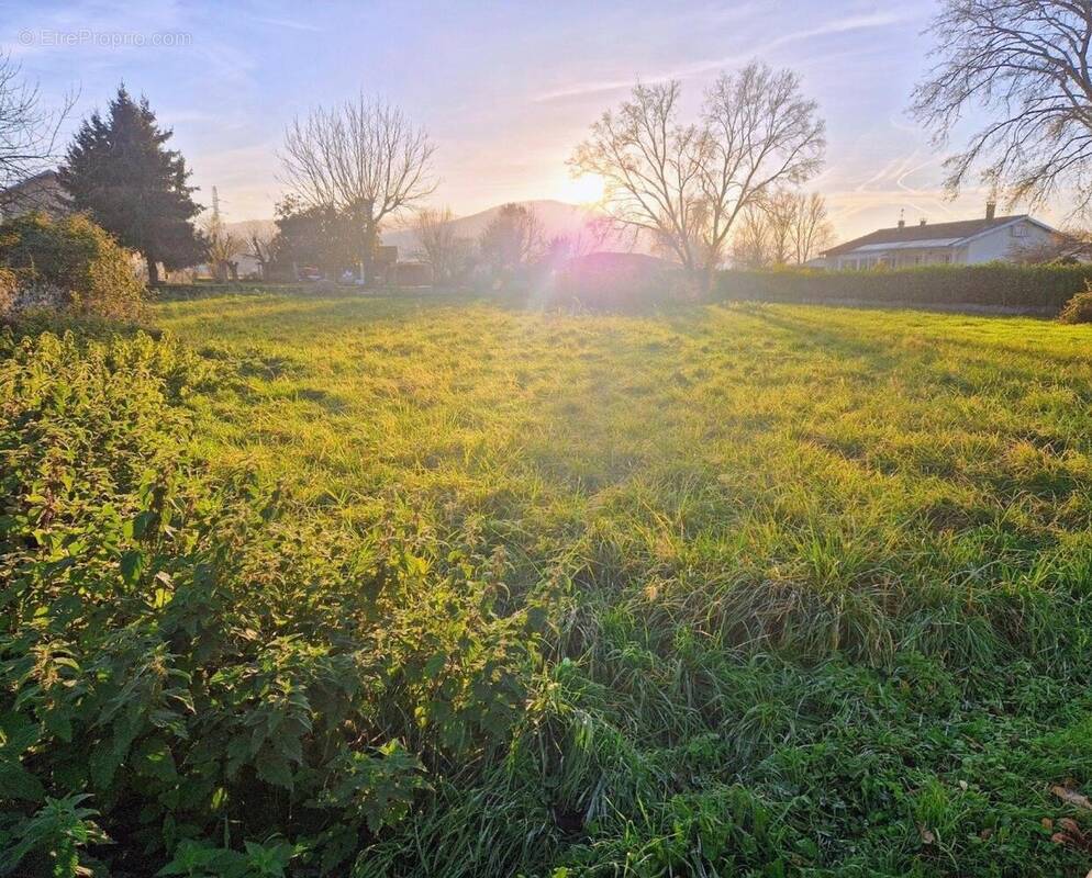 Photo 1 - Terrain à MARTRES-DE-RIVIERE