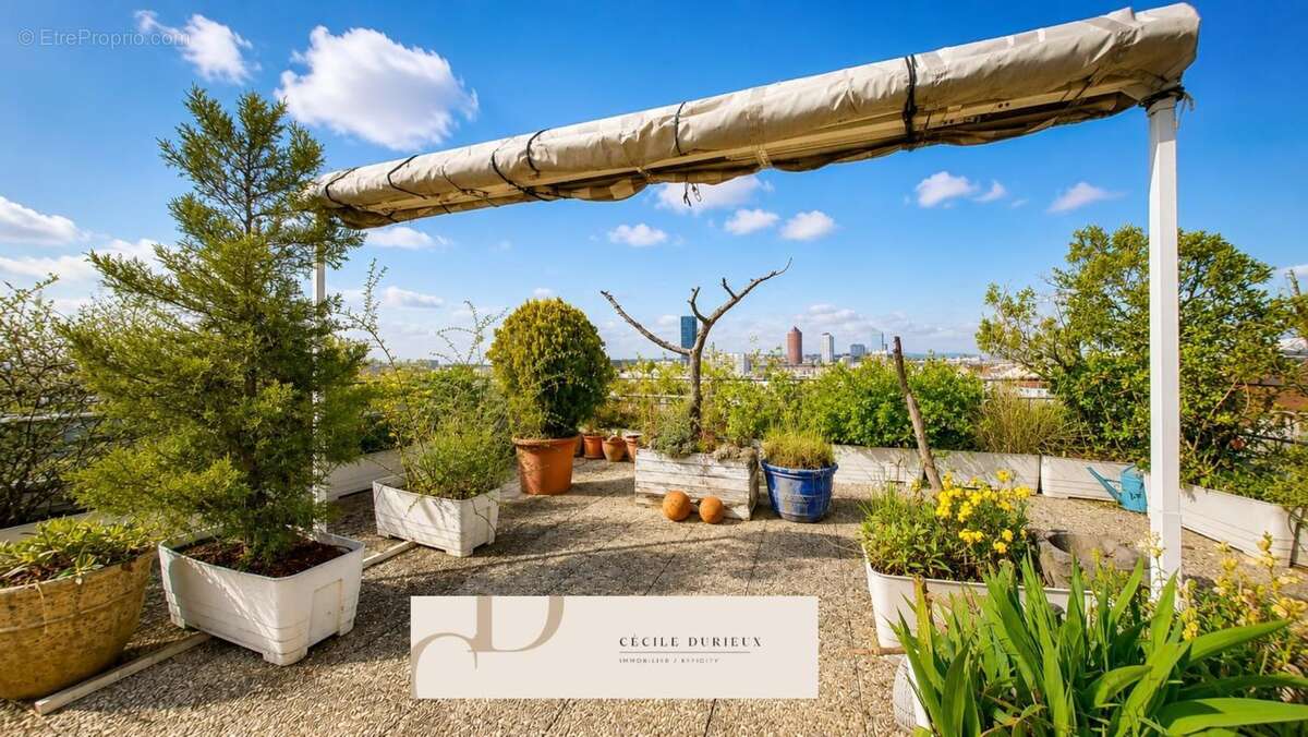 Appartement - photo 2
