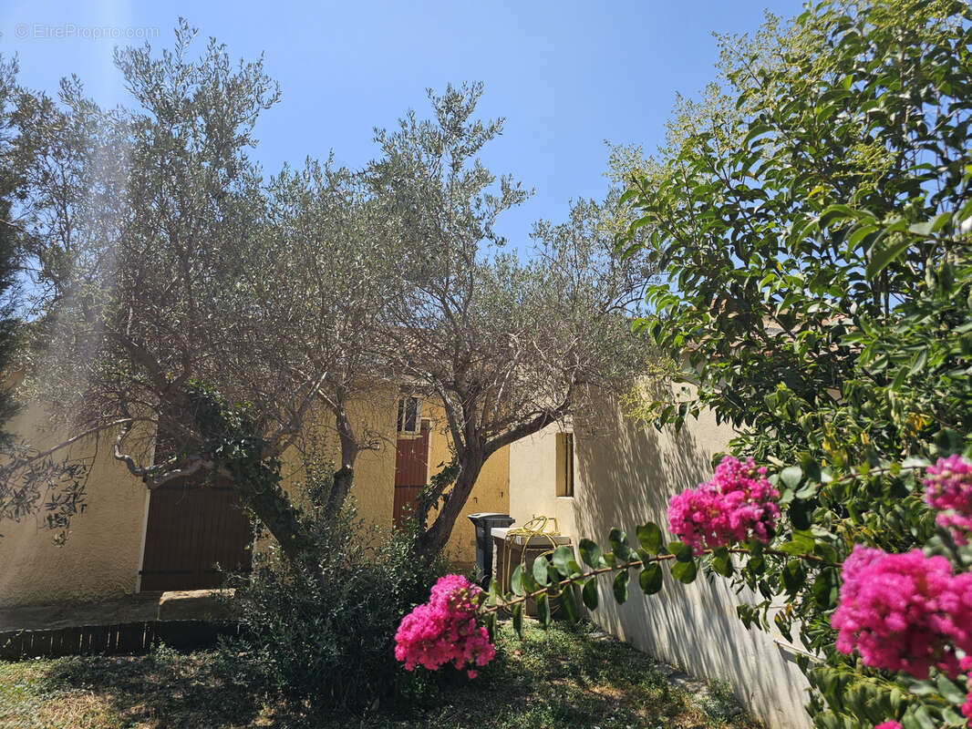 Maison à TARASCON