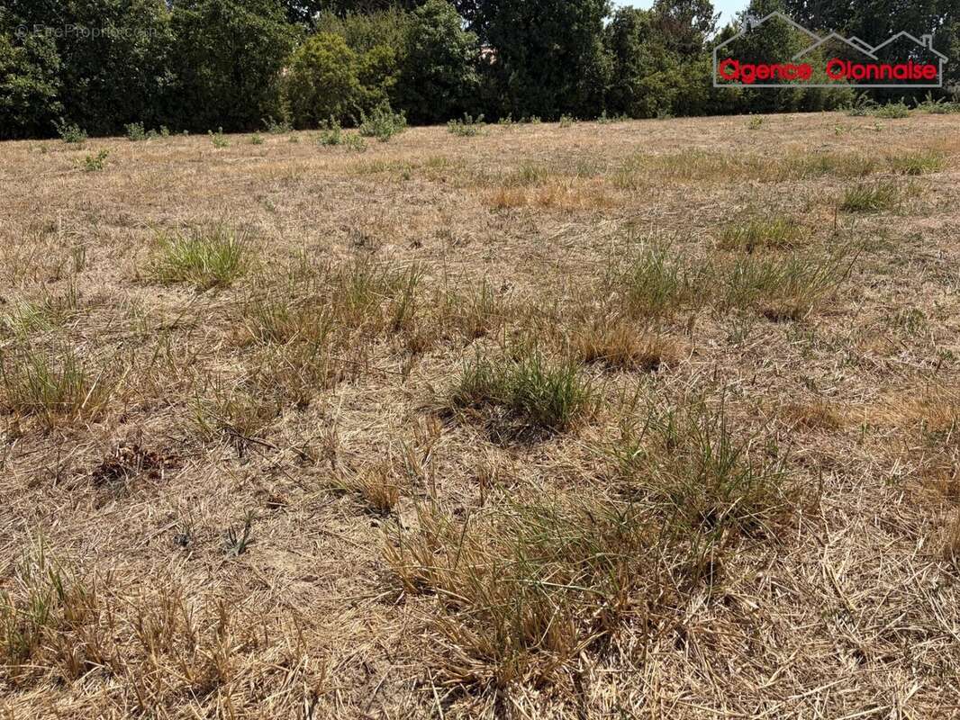 Terrain a batir - photo 2