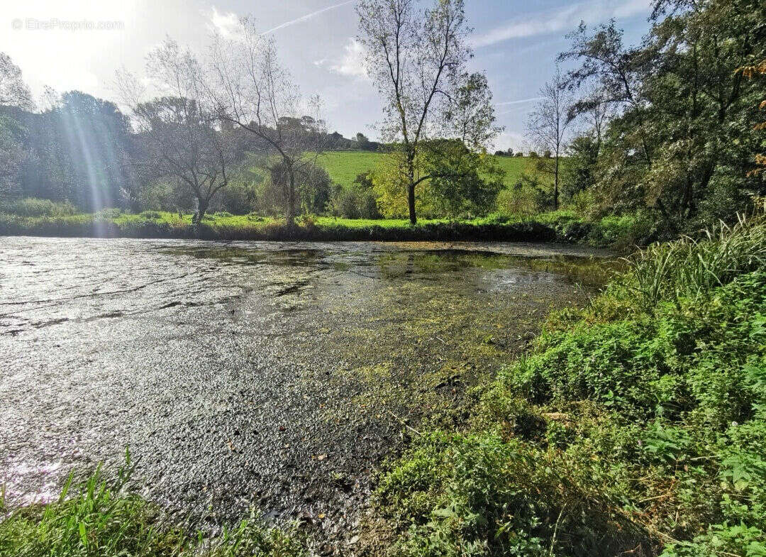 Photo 4 - Terrain à MONTREUIL