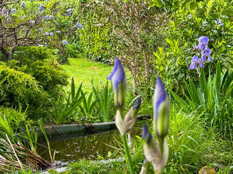 Maison à vendre de 155 m2 de surface habitable à LADEVEZE RIVIERE (32) avec 3330 m2 de jardin - photo 37