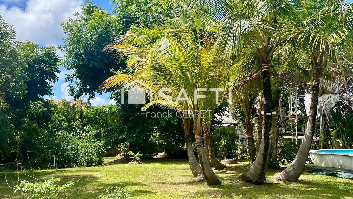 Photo 3 - Maison à CAYENNE